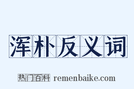 浑朴反义词是什么意思的图片